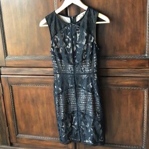 Gianni Bini Black Lace Lined Dress